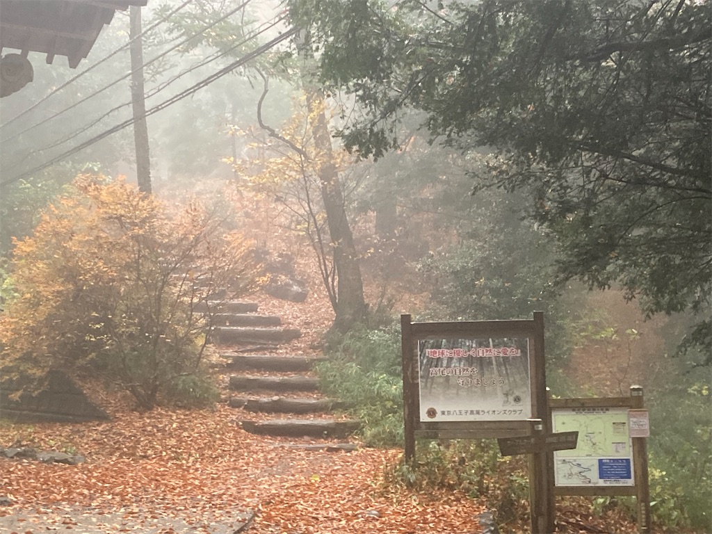 f:id:narutabi:20221124212918j:image