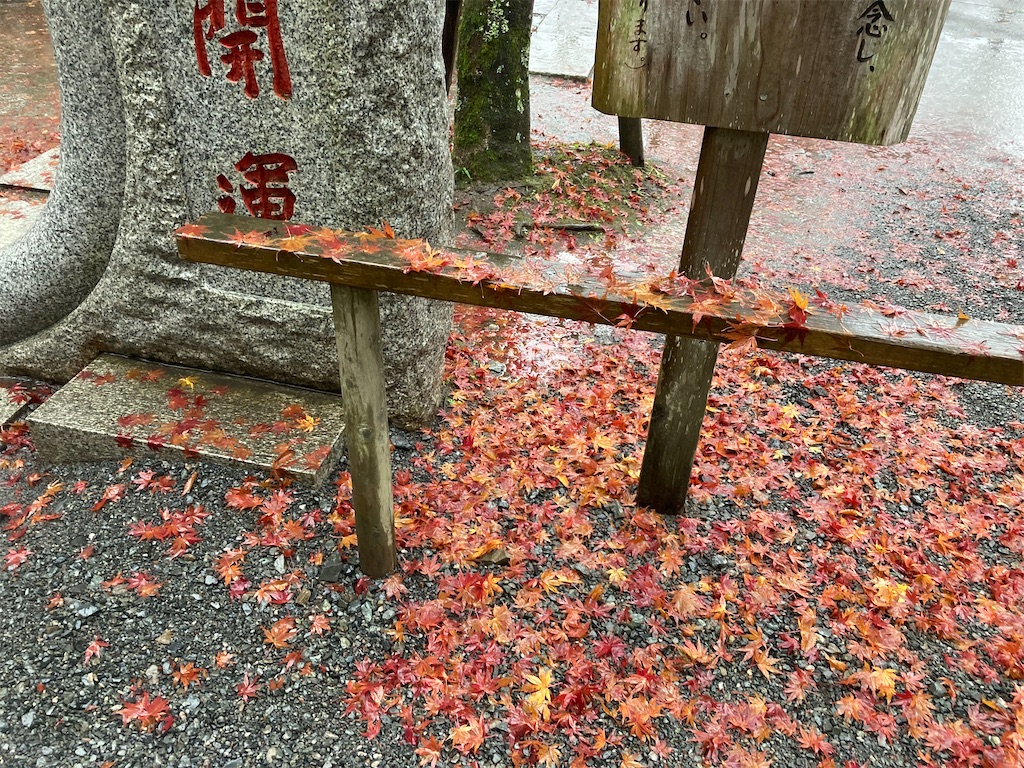 f:id:narutabi:20221124212938j:image