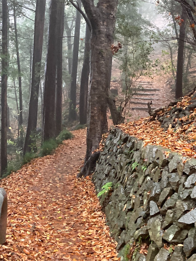 f:id:narutabi:20221124212949j:image