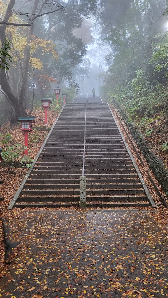 f:id:narutabi:20221124212953j:image