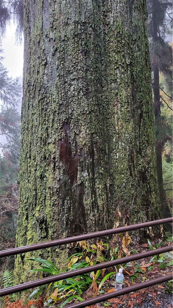 f:id:narutabi:20221124212956j:image