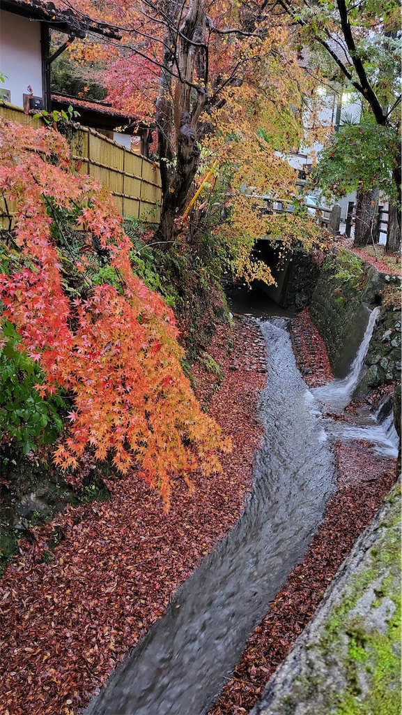 f:id:narutabi:20221124213000j:image