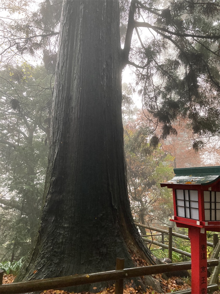 f:id:narutabi:20221124223118j:image