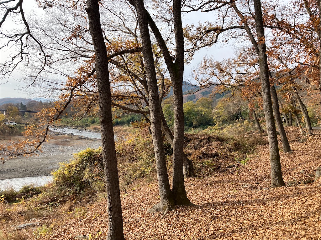 f:id:narutabi:20221201224502j:image f:id:narutabi:20221201224502j:image