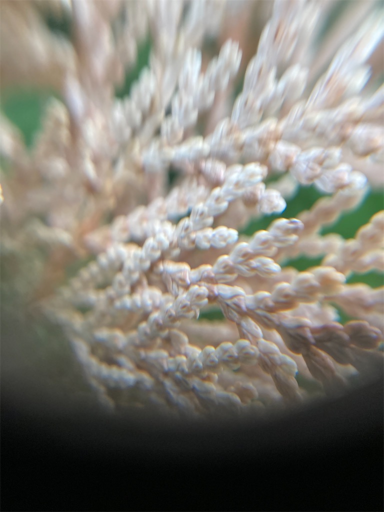 f:id:narutabi:20221201224635j:image f:id:narutabi:20221201224635j:image