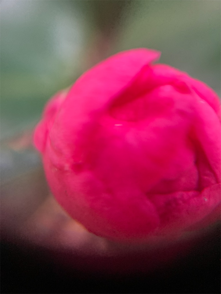 f:id:narutabi:20221201224638j:image f:id:narutabi:20221201224638j:image