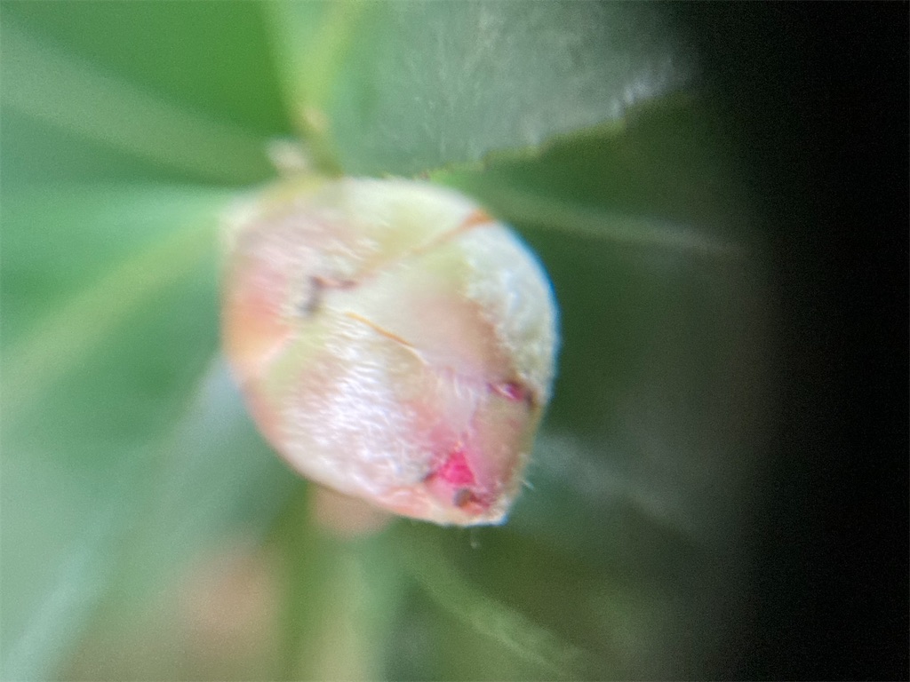 f:id:narutabi:20221201224641j:image f:id:narutabi:20221201224641j:image