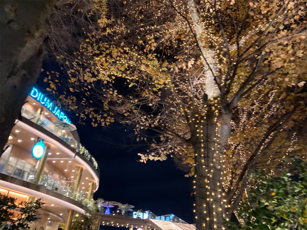 f:id:narutabi:20221206184702j:image