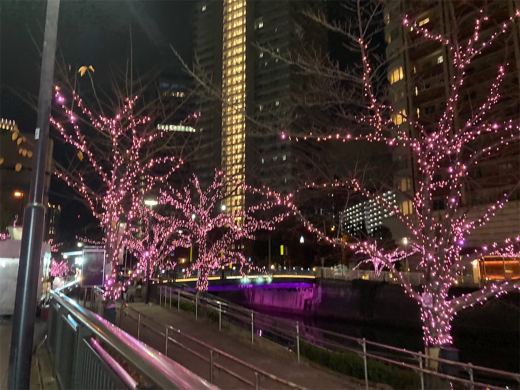 f:id:narutabi:20221211200143j:image