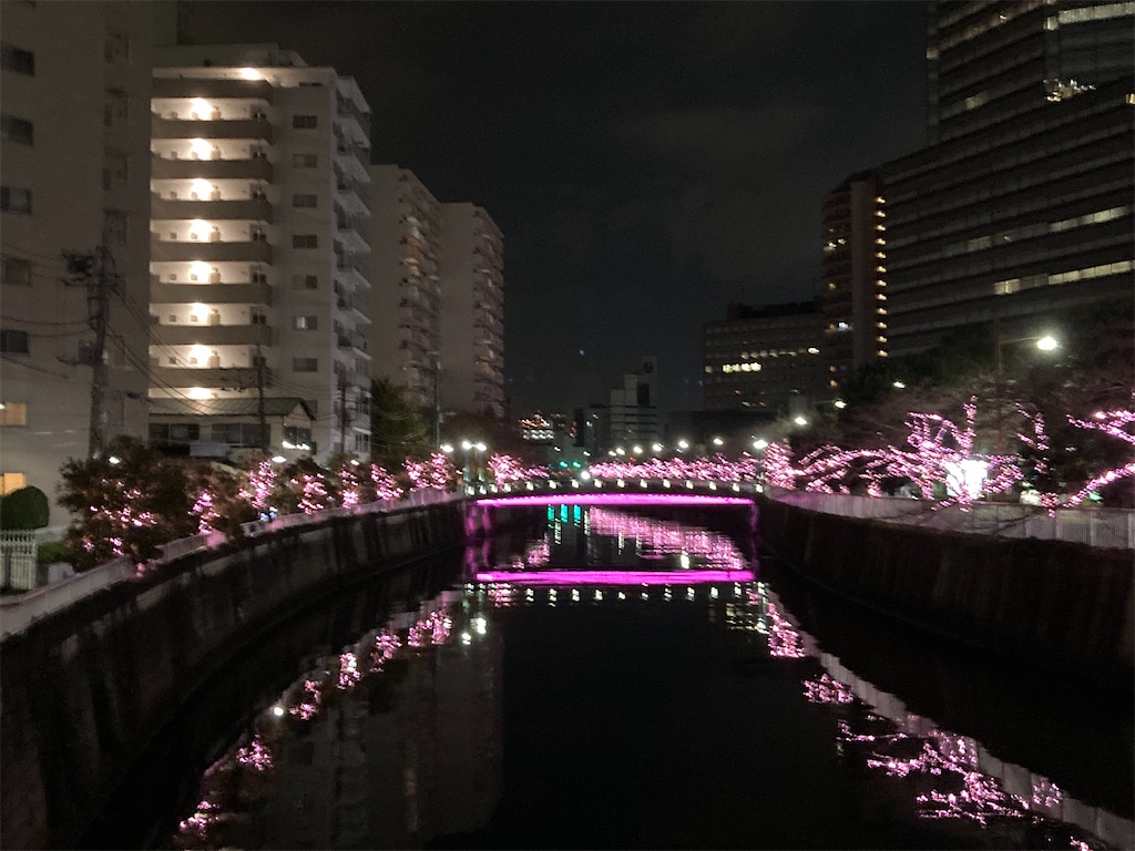 f:id:narutabi:20221211200205j:image