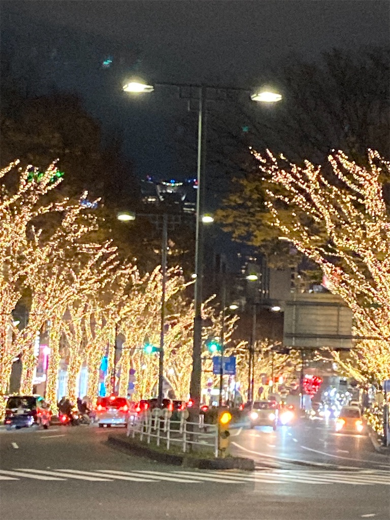 f:id:narutabi:20221211200228j:image