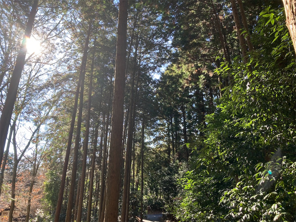 f:id:narutabi:20221222201232j:image