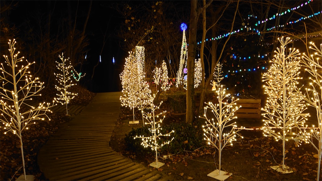 f:id:narutabi:20221222202007j:image