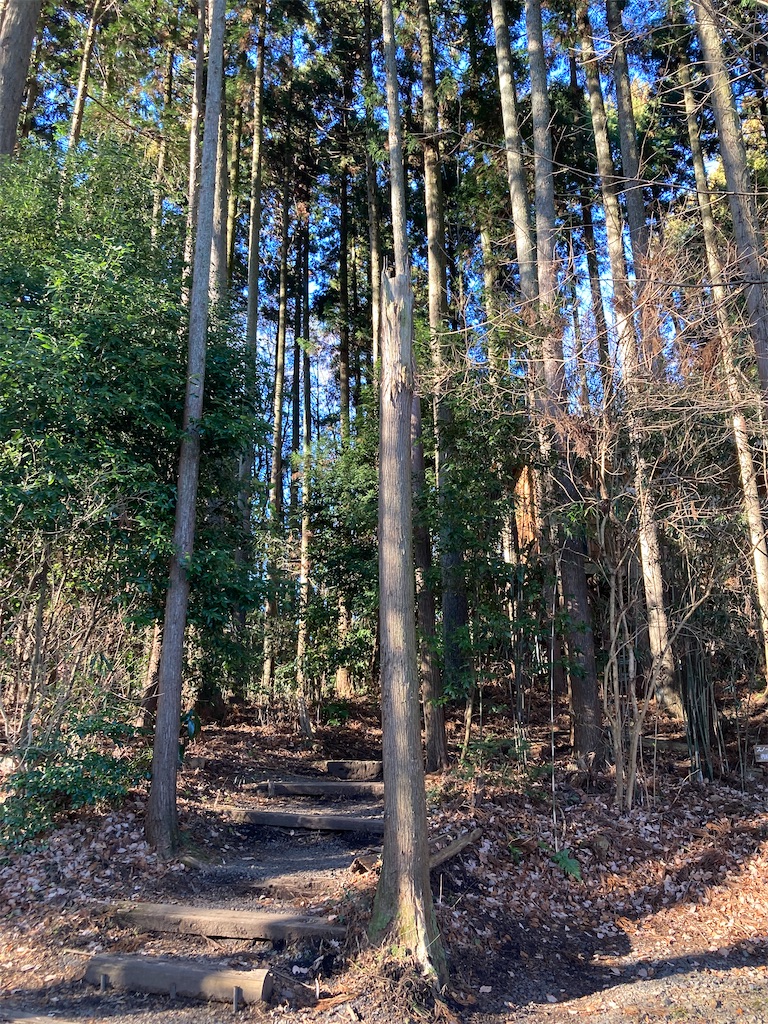 f:id:narutabi:20221225173728j:image