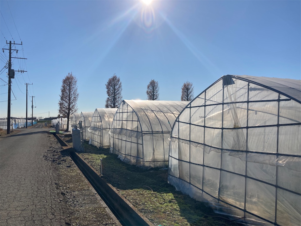 f:id:narutabi:20221225173745j:image