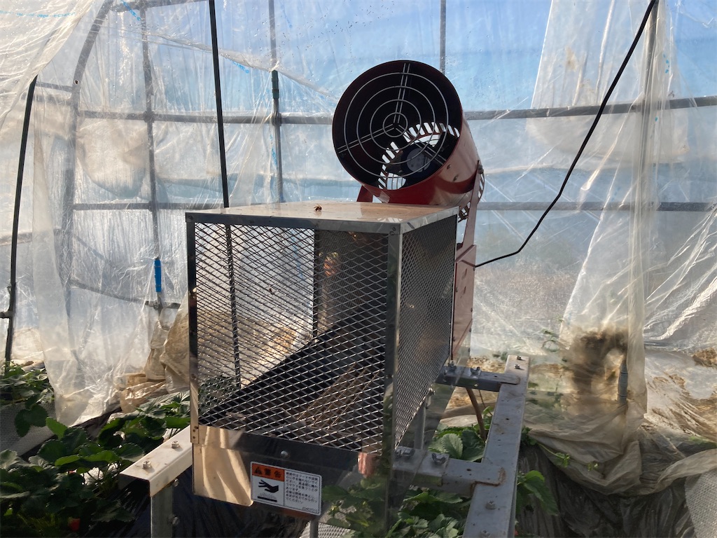 f:id:narutabi:20221225173834j:image