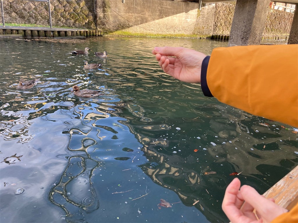 f:id:narutabi:20221226220037j:image