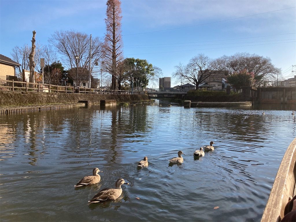 f:id:narutabi:20221226220041j:image