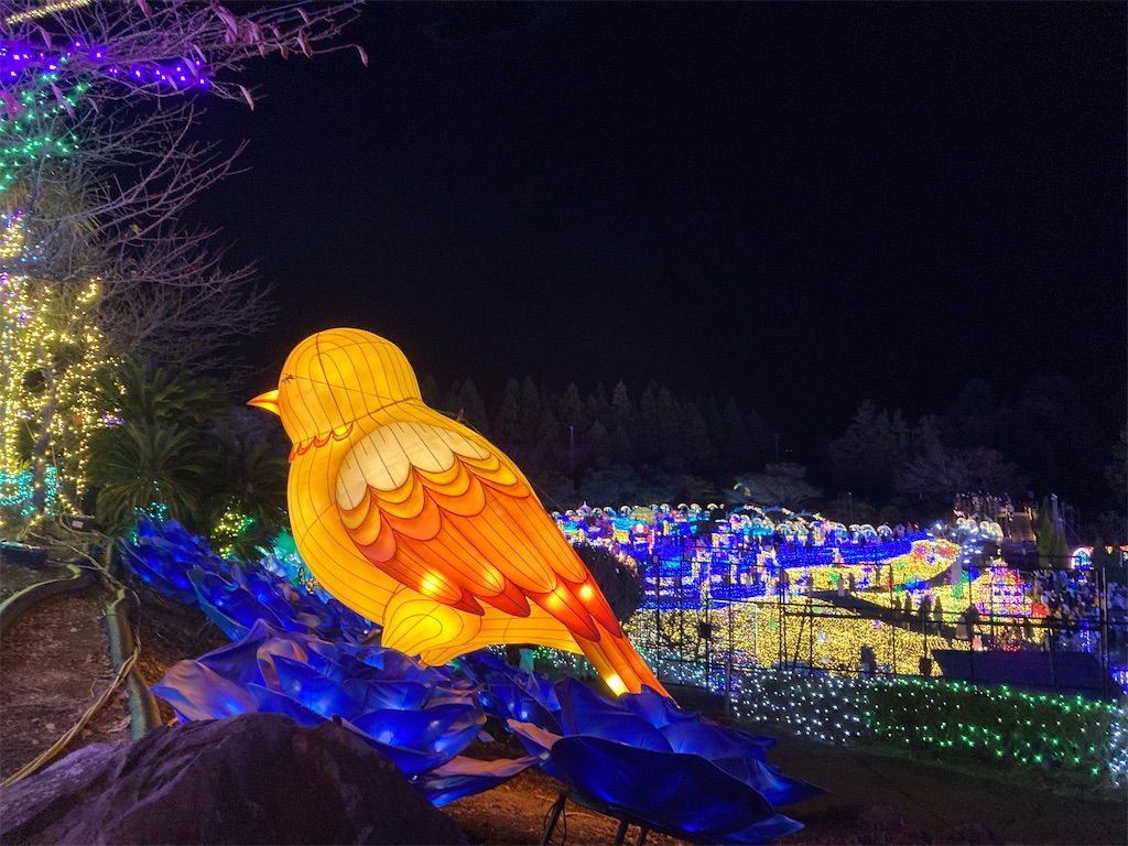 f:id:narutabi:20221228104451j:image