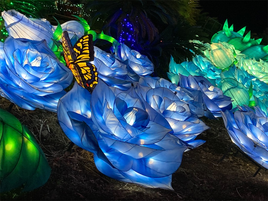 f:id:narutabi:20221228104455j:image