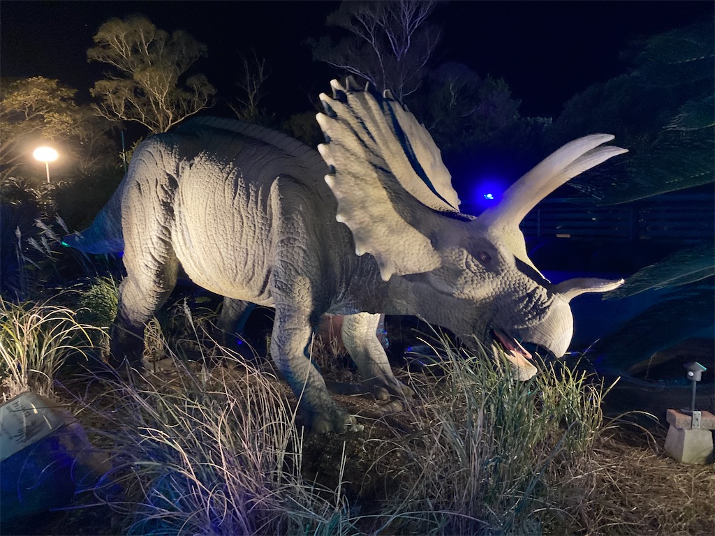 f:id:narutabi:20221228104527j:image