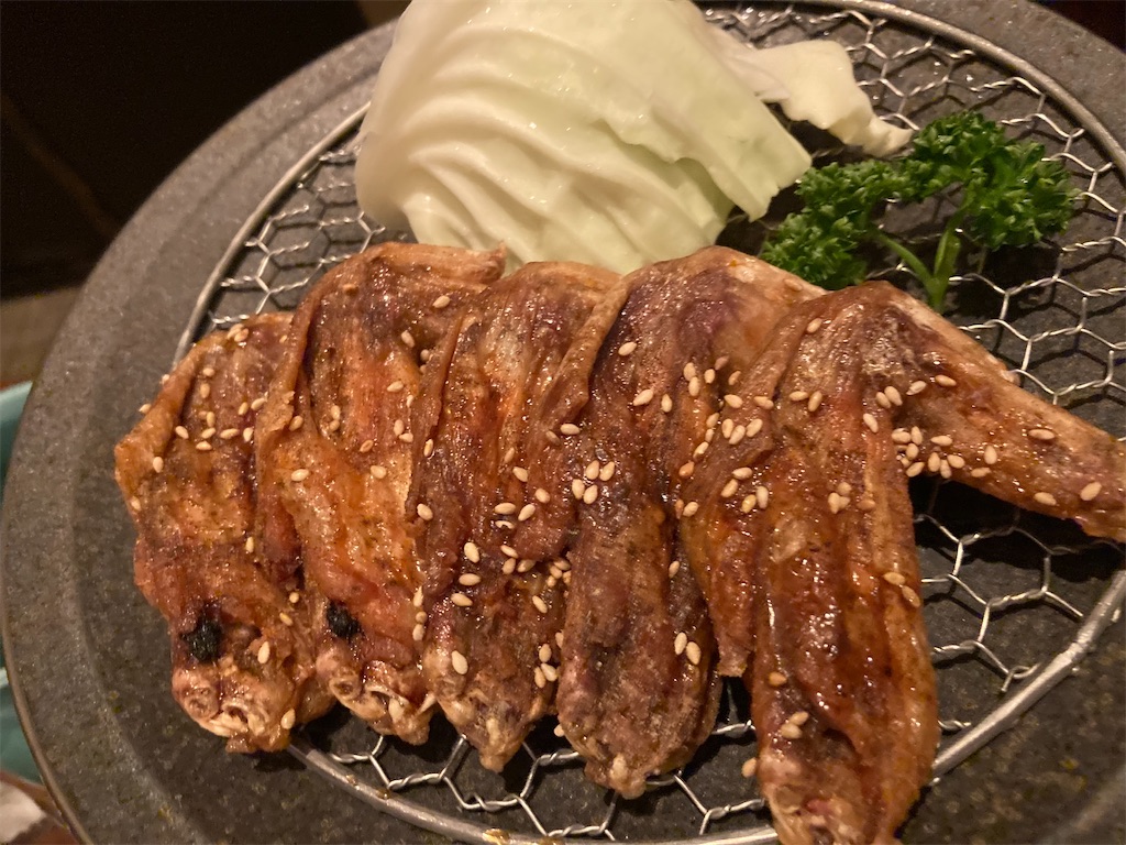 f:id:narutabi:20230116225139j:image