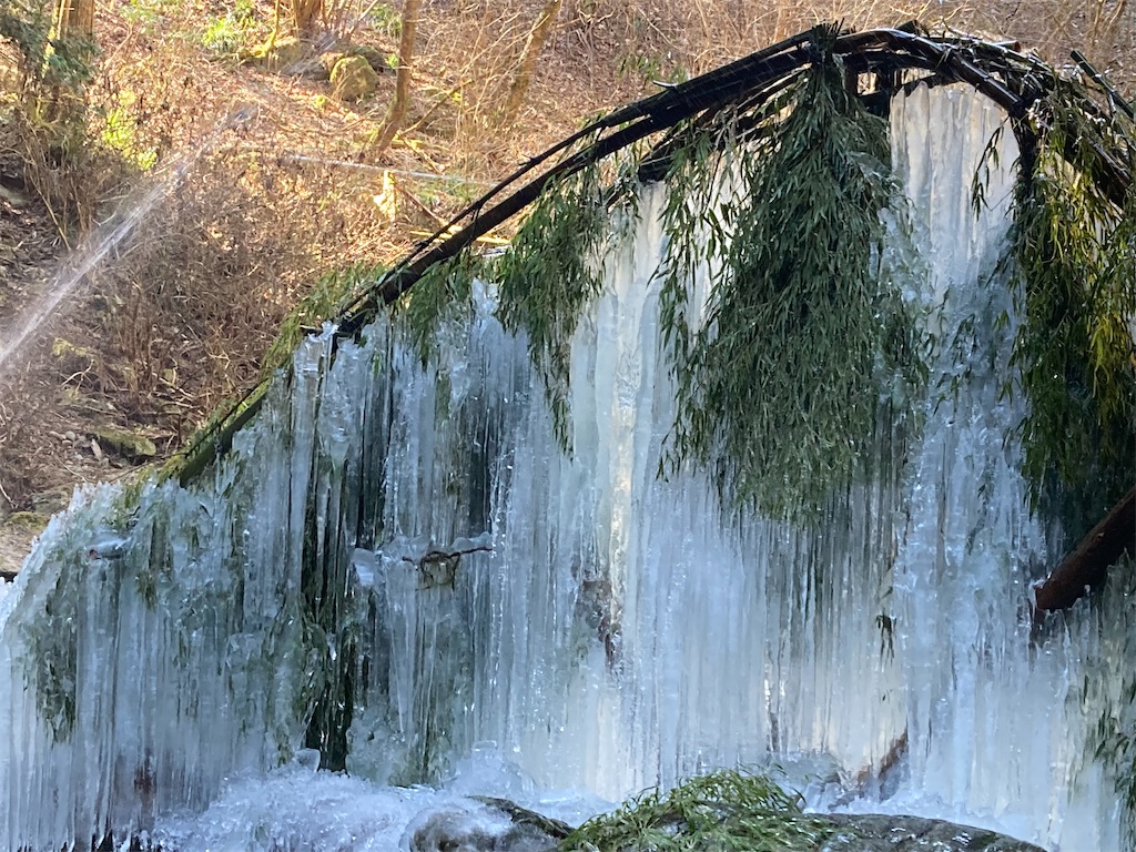 f:id:narutabi:20230206203547j:image f:id:narutabi:20230206203547j:image