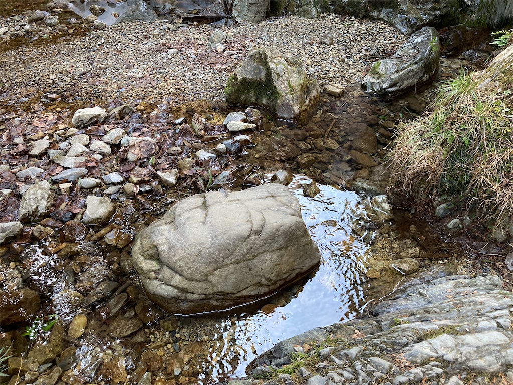 f:id:narutabi:20230206203553j:image f:id:narutabi:20230206203553j:image