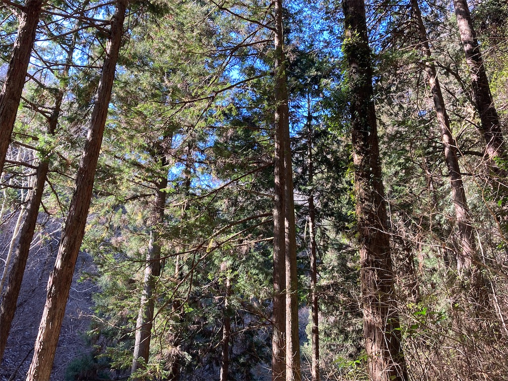 f:id:narutabi:20230206203556j:image f:id:narutabi:20230206203556j:image