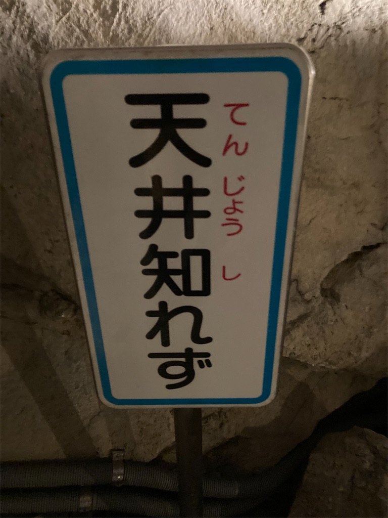 f:id:narutabi:20230206230201j:image f:id:narutabi:20230206230201j:image