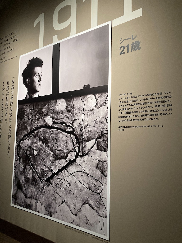 f:id:narutabi:20230219020846j:image