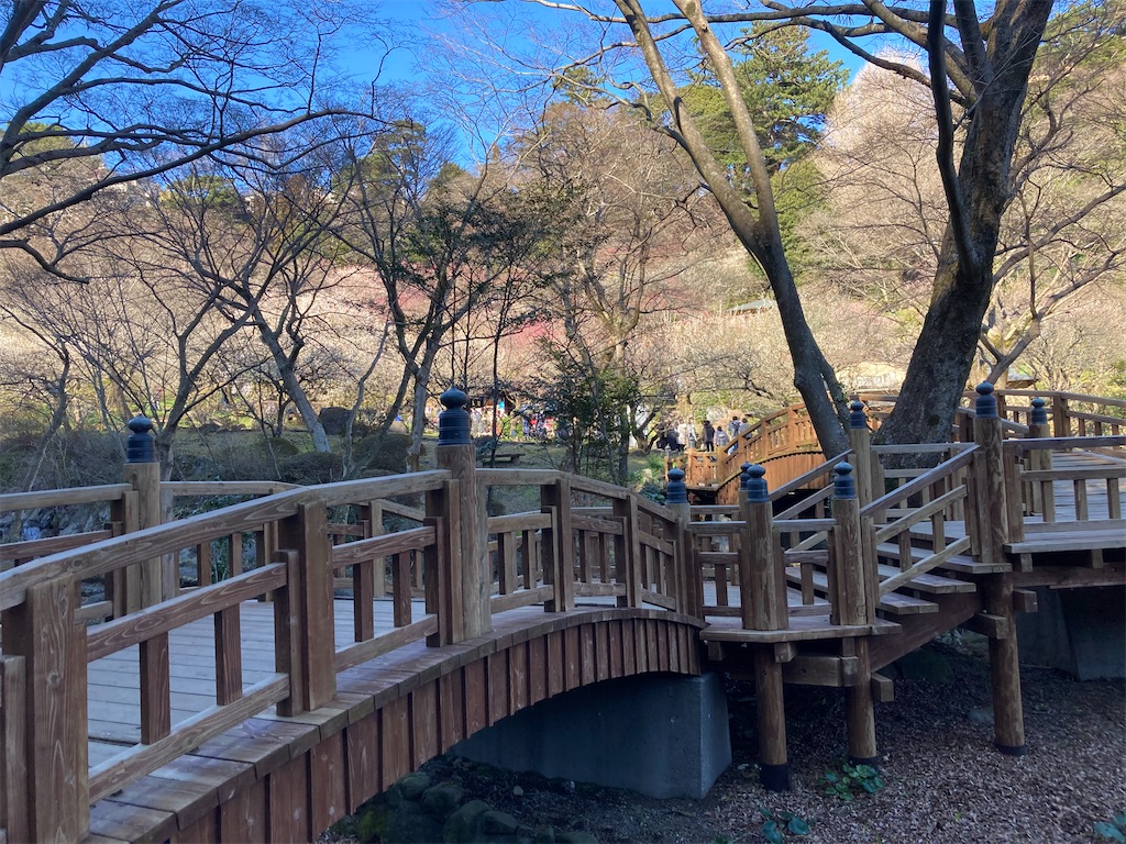 f:id:narutabi:20230227201728j:image