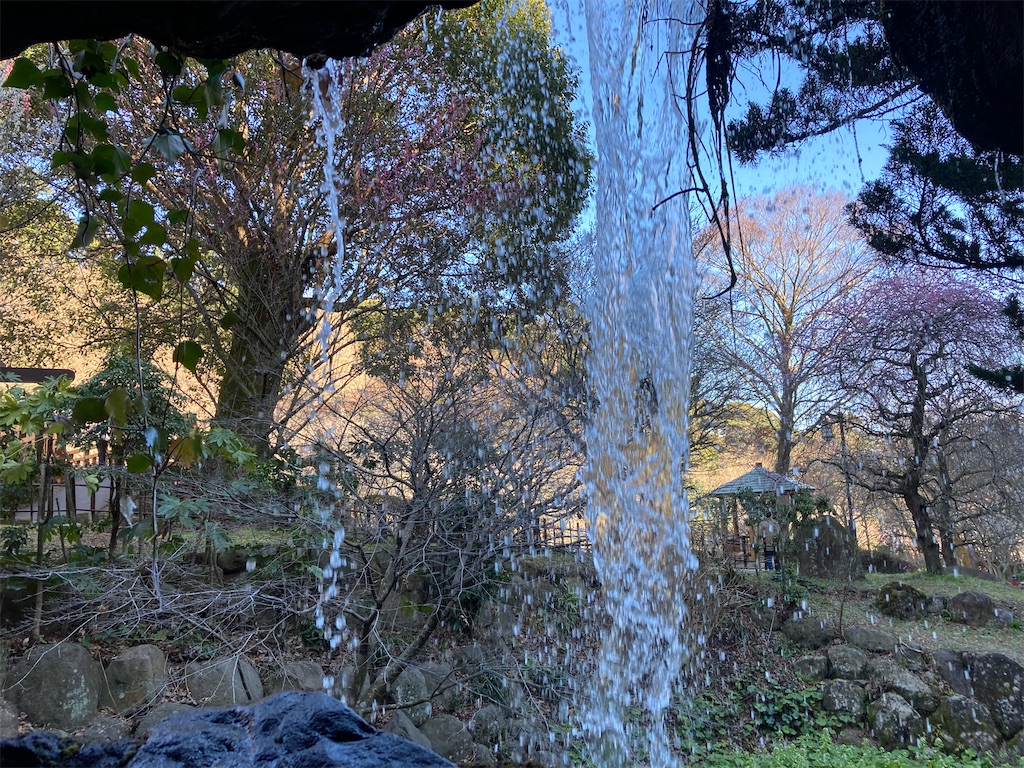 f:id:narutabi:20230227201738j:image