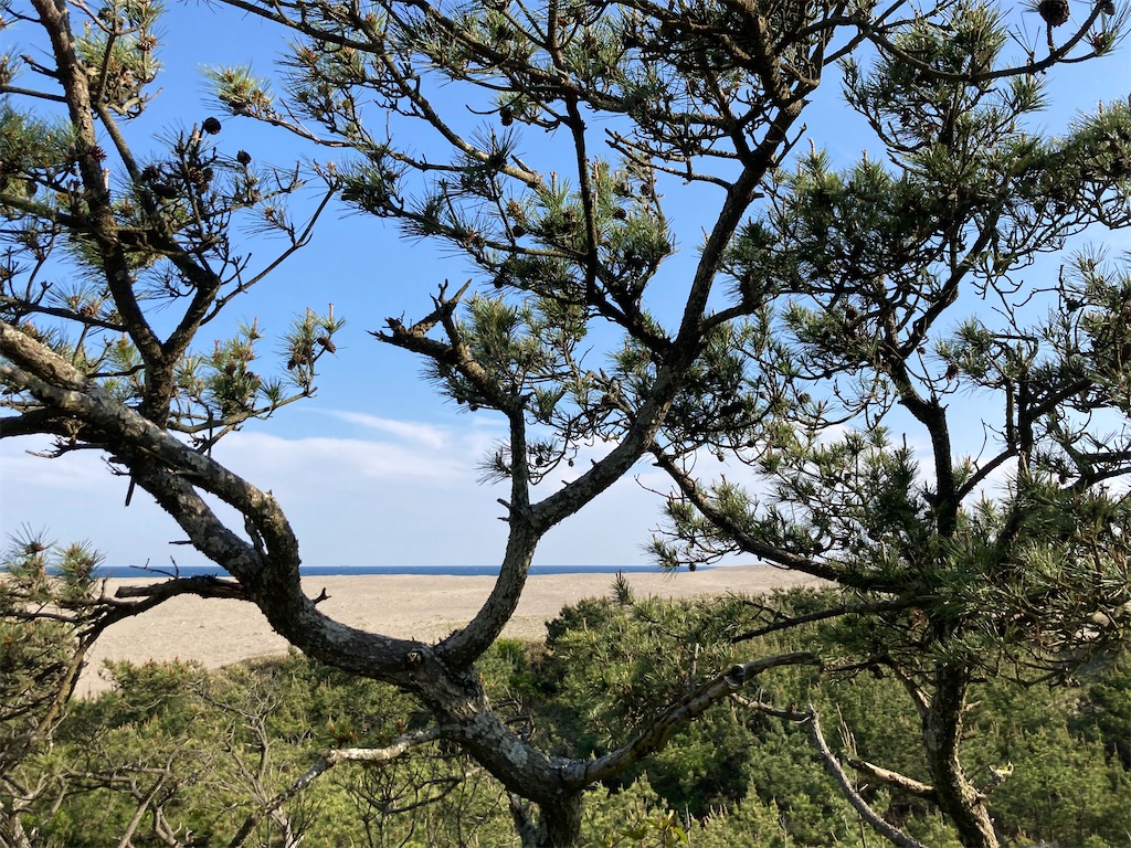 f:id:narutabi:20230301203948j:image