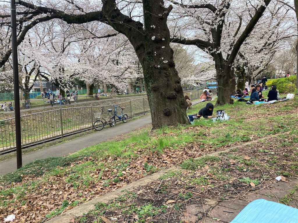 f:id:narutabi:20230323191312j:image f:id:narutabi:20230323191312j:image