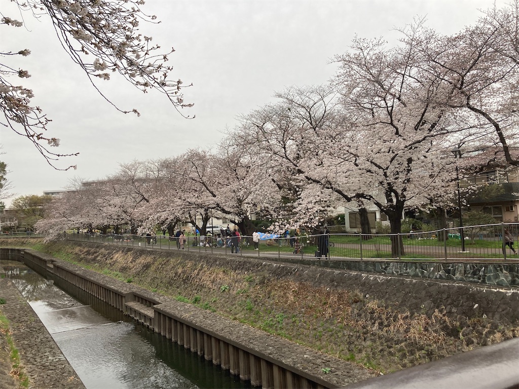f:id:narutabi:20230323191316j:image f:id:narutabi:20230323191316j:image