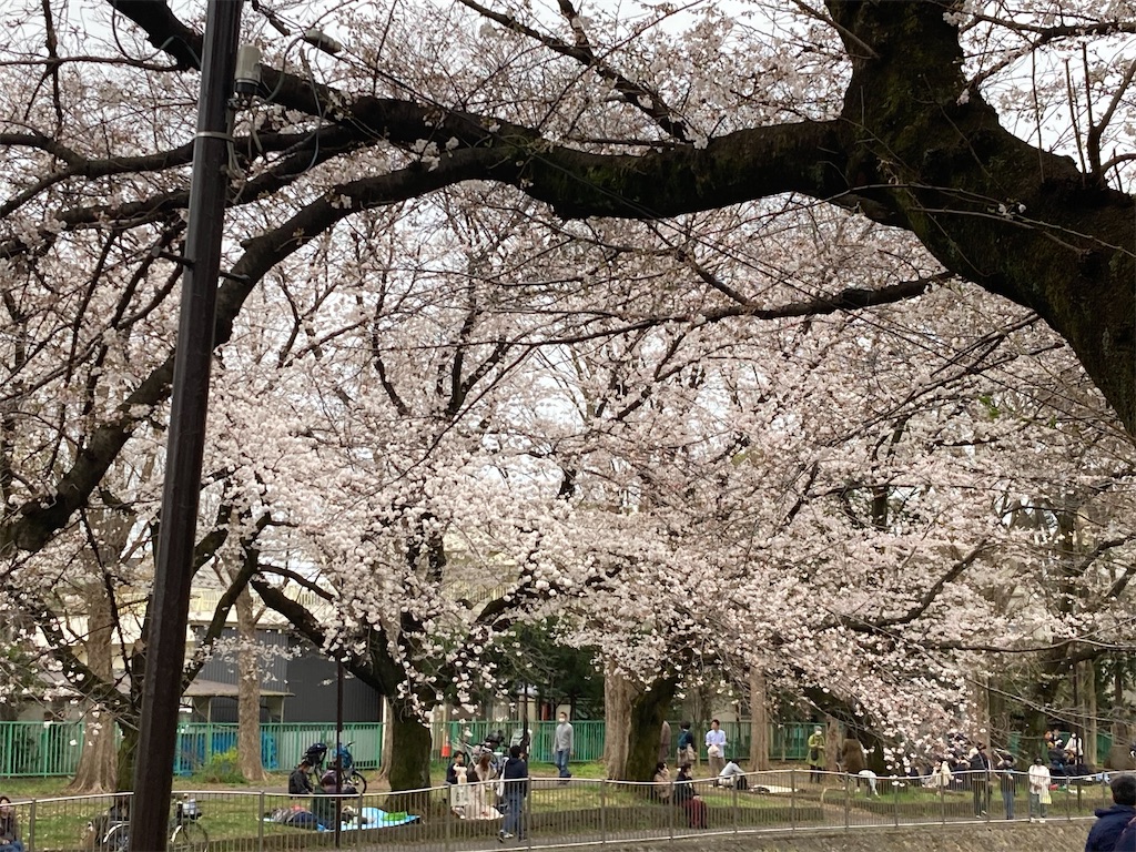 f:id:narutabi:20230323191324j:image f:id:narutabi:20230323191324j:image