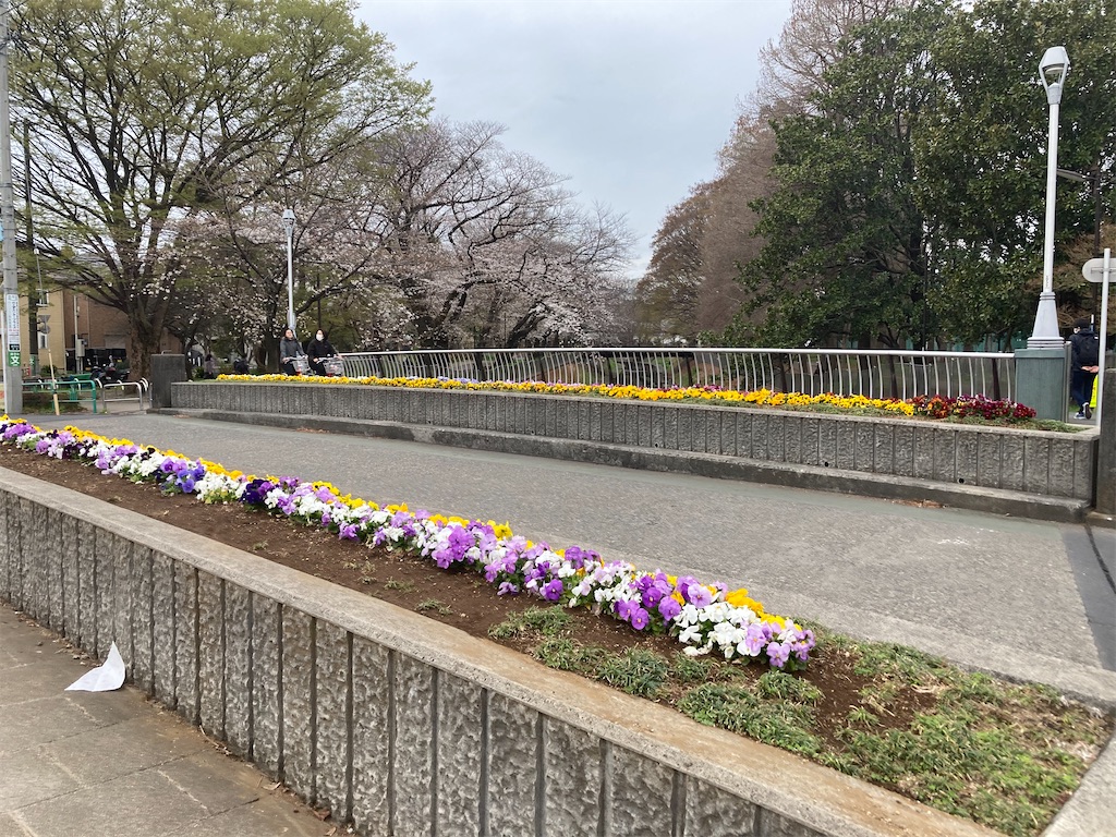 f:id:narutabi:20230323191327j:image f:id:narutabi:20230323191327j:image