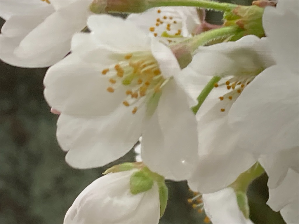 f:id:narutabi:20230323191333j:image f:id:narutabi:20230323191333j:image