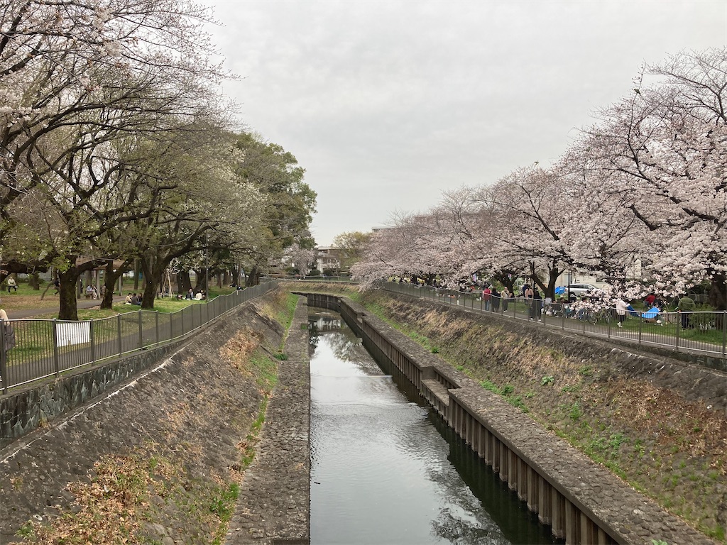 f:id:narutabi:20230323191349j:image f:id:narutabi:20230323191349j:image