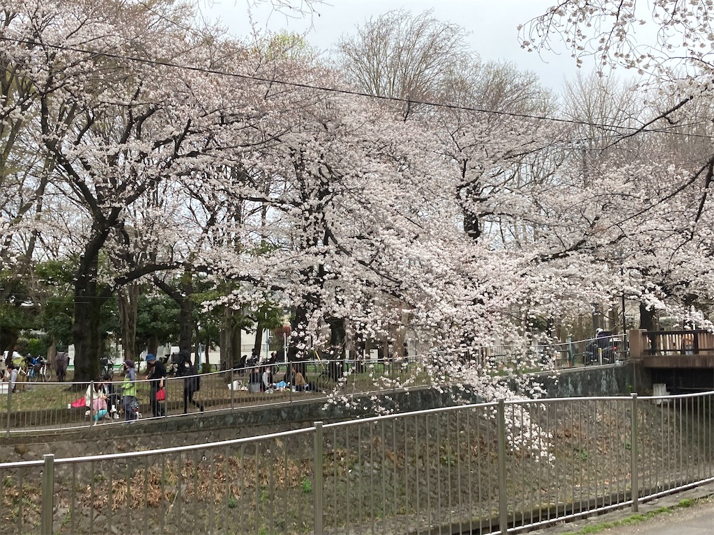 f:id:narutabi:20230323191355j:image f:id:narutabi:20230323191355j:image