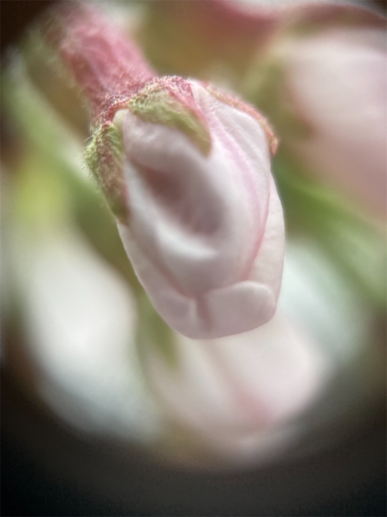 f:id:narutabi:20230323191411j:image f:id:narutabi:20230323191411j:image