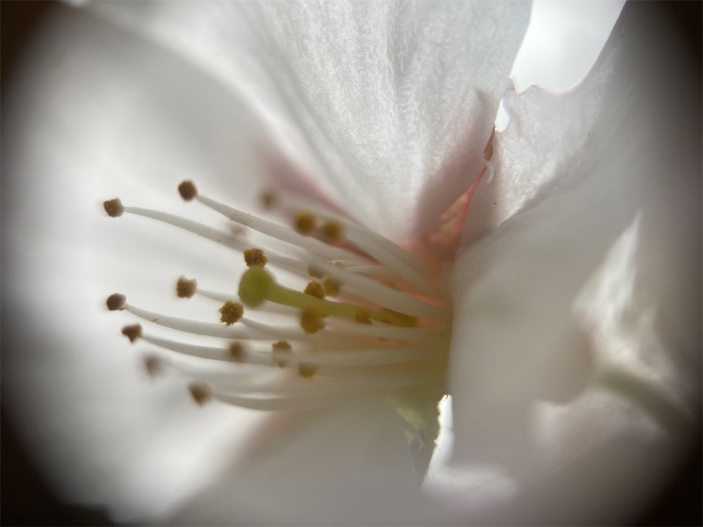 f:id:narutabi:20230323191416j:image f:id:narutabi:20230323191416j:image
