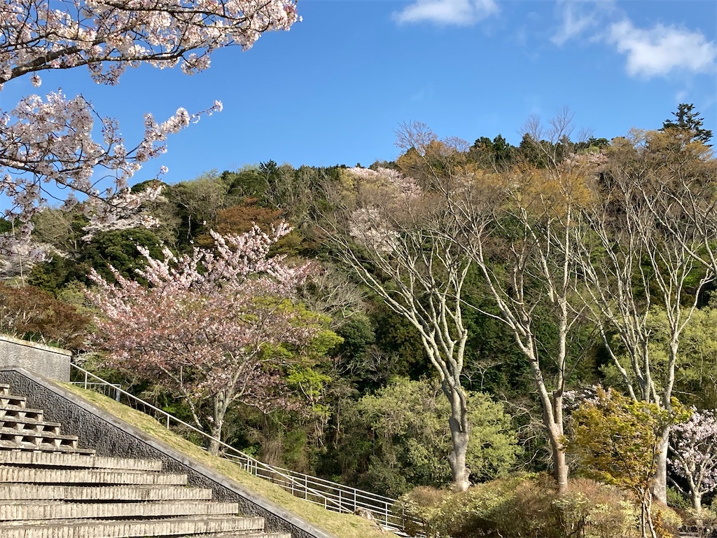 f:id:narutabi:20230405121522j:image