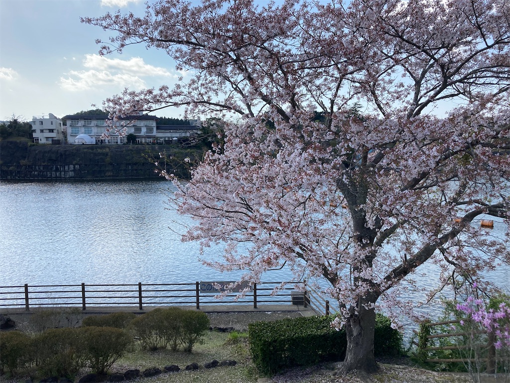 f:id:narutabi:20230405121534j:image