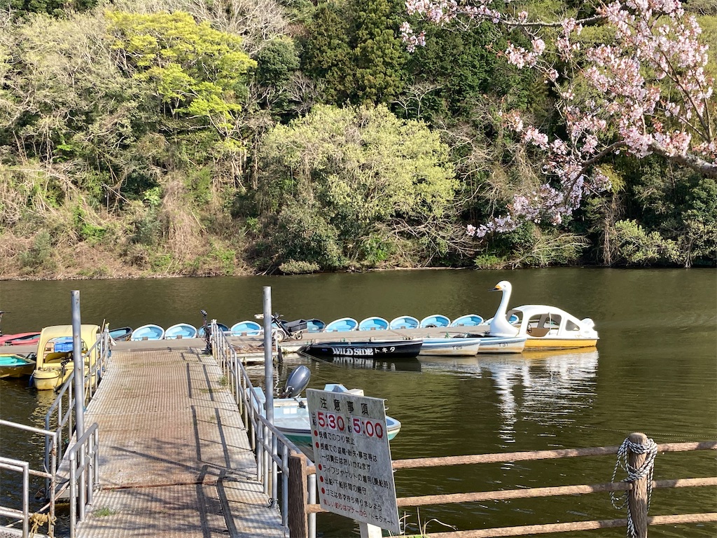 f:id:narutabi:20230405121552j:image