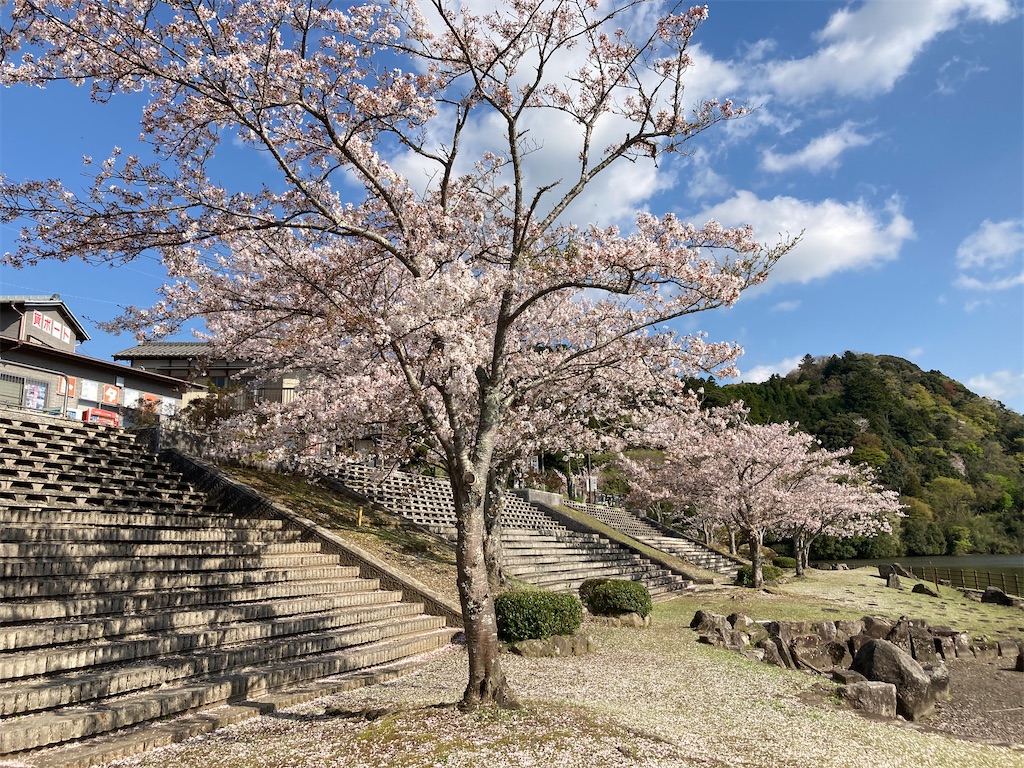 f:id:narutabi:20230405121607j:image