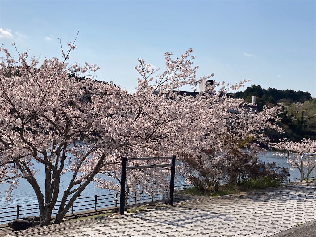 f:id:narutabi:20230405121620j:image