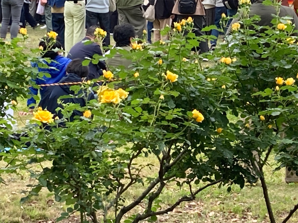 f:id:narutabi:20230423105826j:image