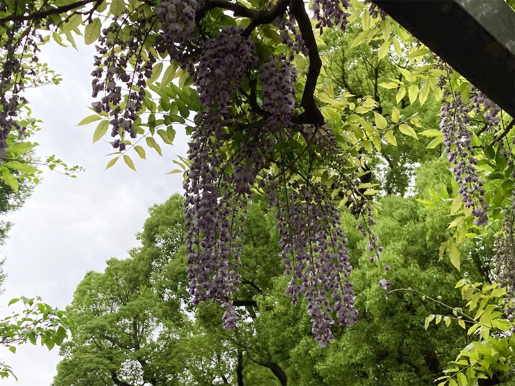 f:id:narutabi:20230423105840j:image